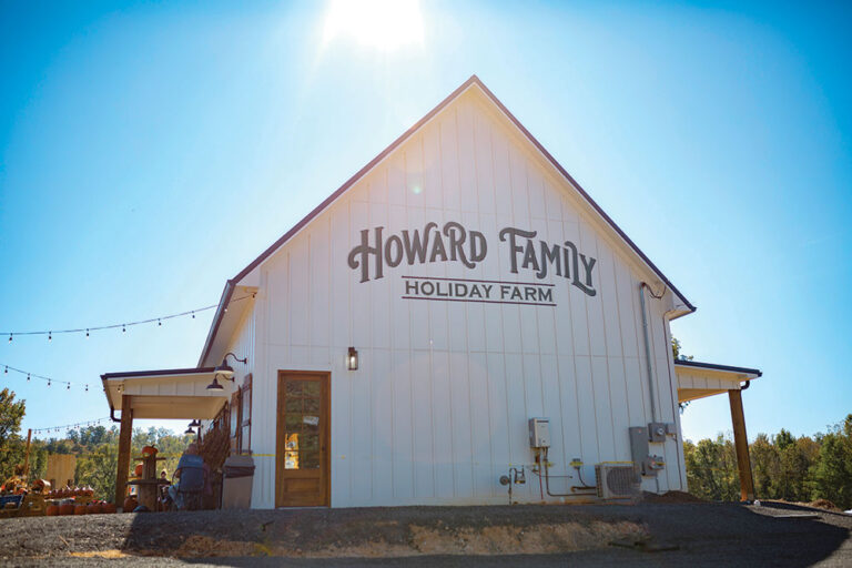 howard-family-holiday-farm-st-clair-alabama-pell-city